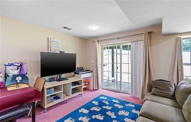 5 Case Ct, Monroe, NY 10950 - living room with carpet