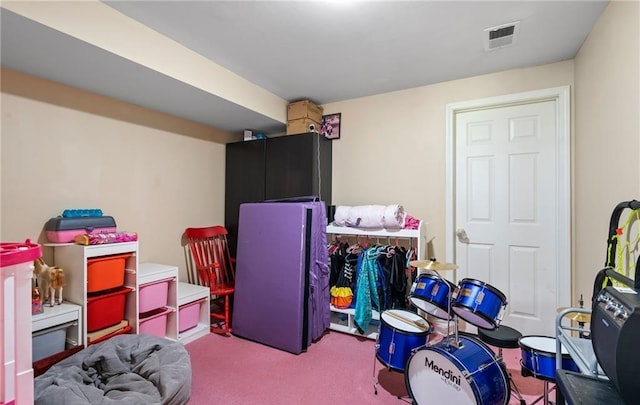 5 Case Ct, Monroe, NY 10950 - playroom featuring carpet flooring