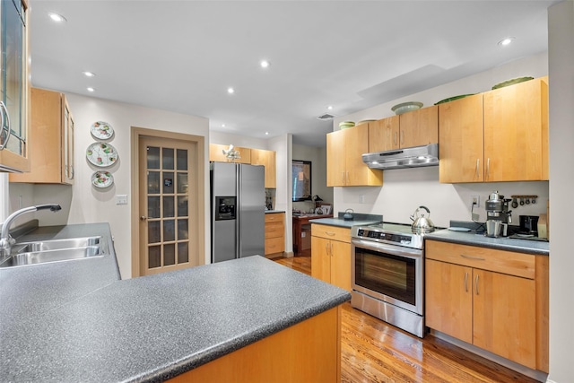 5 Gabriels Dr, Chester, NY 10918 - kitchen with appliances with stainless steel finishes, under cabinet range hood, a sink, a peninsula, and light wood-type flooring