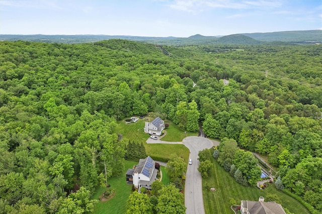 5 Gabriels Dr, Chester, NY 10918 - aerial view of a heavily wooded area
