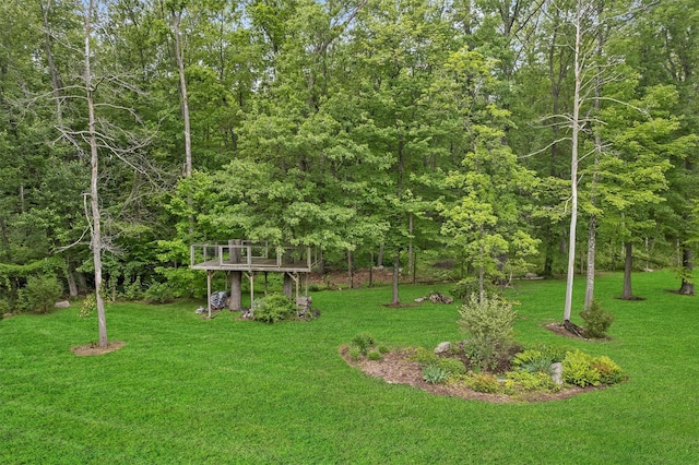 5 Gabriels Dr, Chester, NY 10918 - view of green lawn