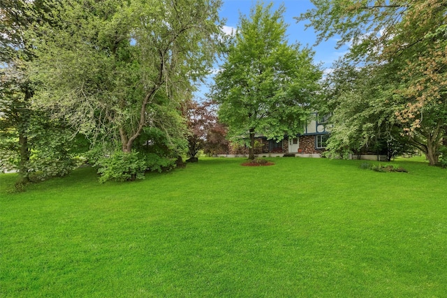 3 Sebastian Ct, Hopewell Junction, NY 12533 - view of grassy yard