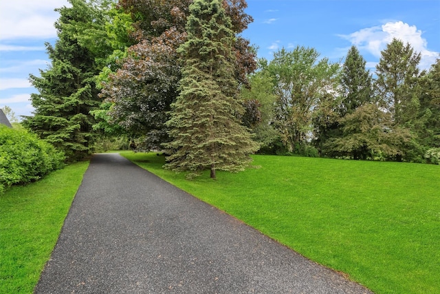 3 Sebastian Ct, Hopewell Junction, NY 12533 - view of property's community featuring a yard