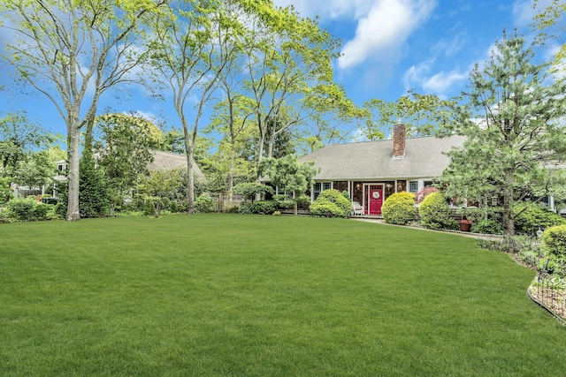 view of green lawn