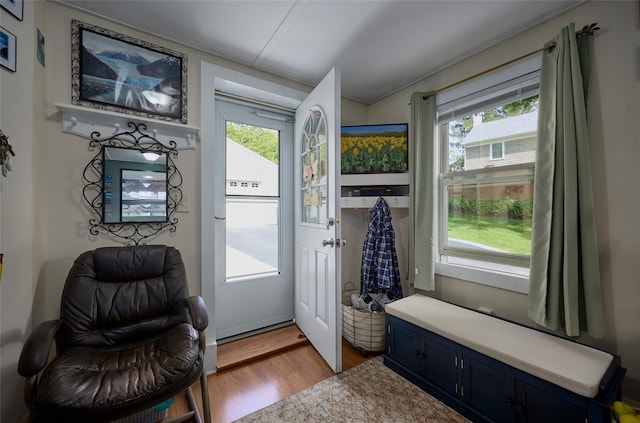 3 Rock Pl, Stanfordville, NY 12581 - entryway featuring wood finished floors