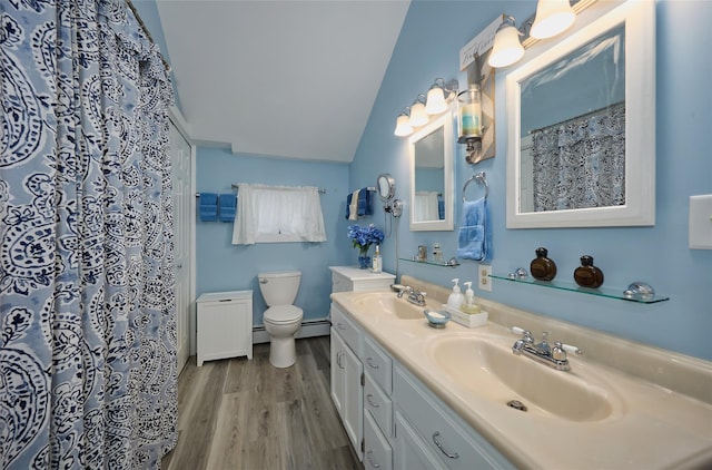 3 Rock Pl, Stanfordville, NY 12581 - bathroom featuring toilet, wood finished floors, a baseboard radiator, lofted ceiling, and double vanity
