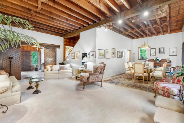 66 Susan Dr, Newburgh, NY 12550 - carpeted living area featuring rail lighting and vaulted ceiling