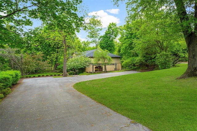 66 Susan Dr, Newburgh, NY 12550 - view of front of house featuring asphalt driveway and a front yard