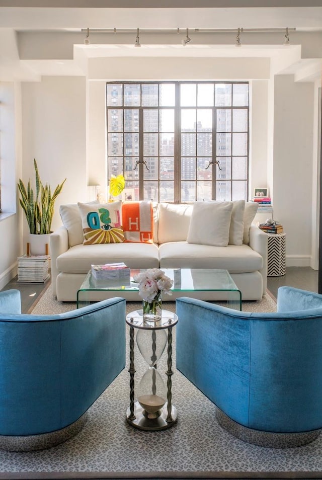living area featuring rail lighting, carpet flooring, and baseboards
