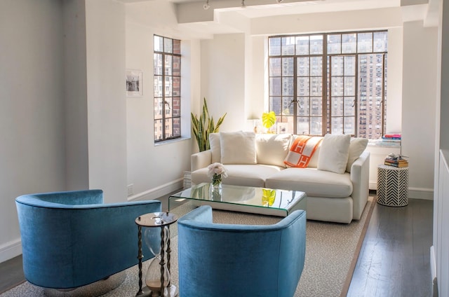 living room featuring baseboards and wood finished floors