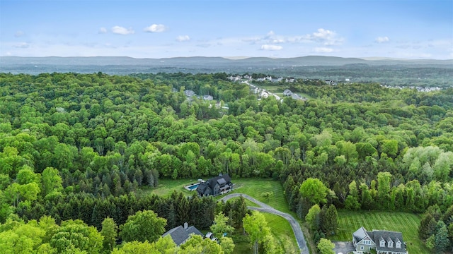 36 Spruce Ln, Poughkeepsie, NY 12603 - aerial view of a forest and a mountain backdrop