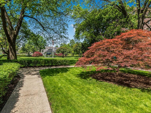 210 Pelham Rd Unit 6H, New Rochelle, NY 10805 - view of green lawn