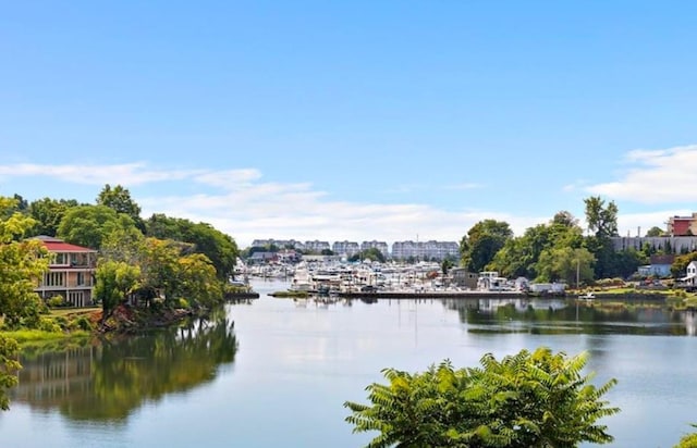 210 Pelham Rd Unit 6H, New Rochelle, NY 10805 - water view