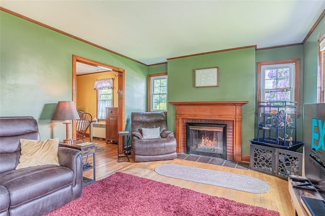 22 Deerfield Pl, Beacon, NY 12508 - living room with wood finished floors, crown molding, a brick fireplace, and radiator heating unit