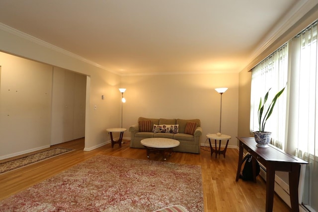 35 Bon Aire Cir Unit 8113, Suffern, NY 10901 - living area with wood finished floors, ornamental molding, and baseboards