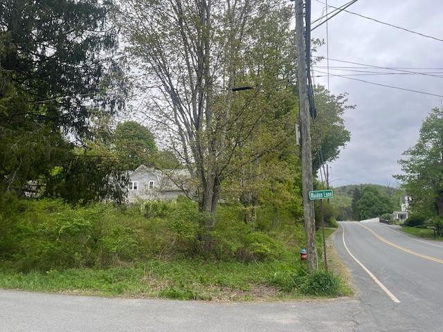 23 Maiden Ln, Livingston Manor, NY 12758