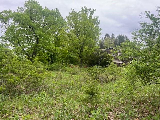 23 Maiden Ln, Livingston Manor, NY 12758