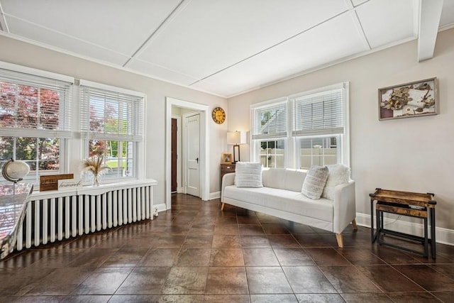 2660 Rosebud Ave, Merrick, NY 11566 - sitting room with baseboards