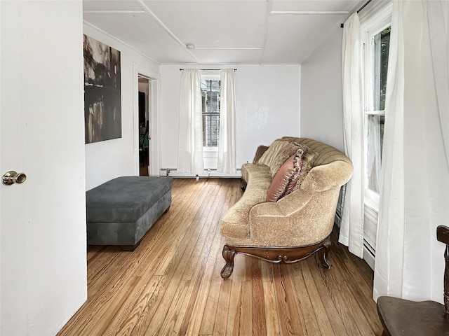 9 Church St, Hyde Park, NY 12538 - sitting room with wood-type flooring and a baseboard heating unit