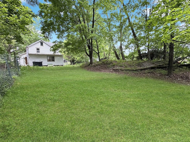 9 Church St, Hyde Park, NY 12538 - view of green lawn