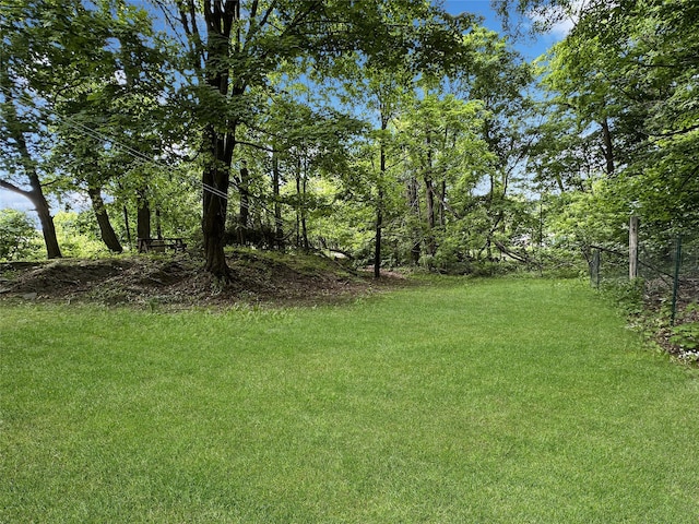 9 Church St, Hyde Park, NY 12538 - view of grassy yard