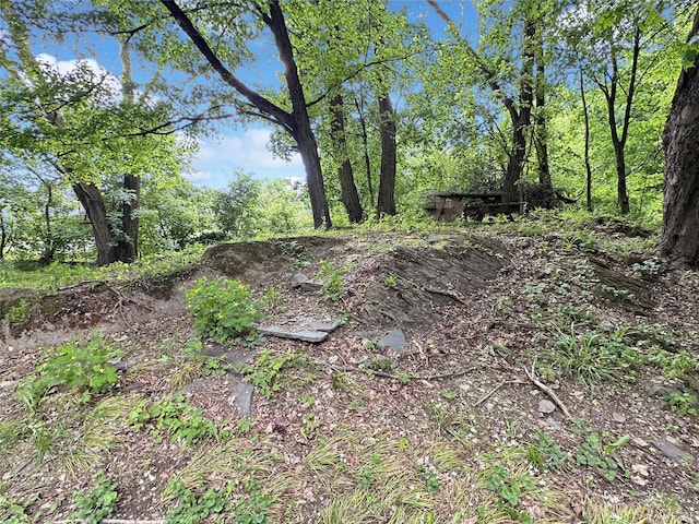 9 Church St, Hyde Park, NY 12538 - view of local wilderness