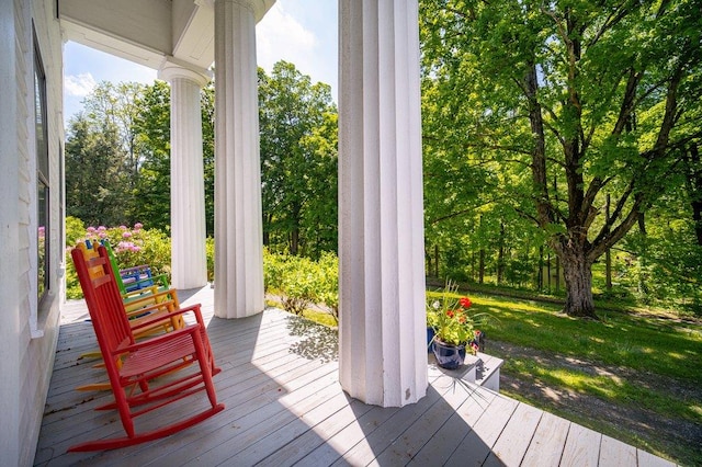 9 Ireland Ave, Wappingers Falls, NY 12590 - view of wooden porch