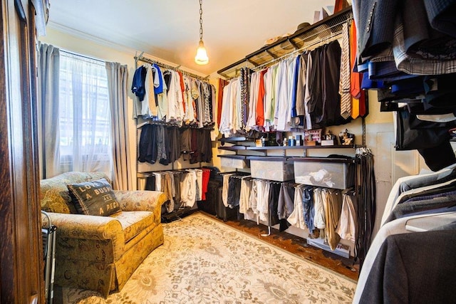 9 Ireland Ave, Wappingers Falls, NY 12590 - walk in closet with wood finished floors