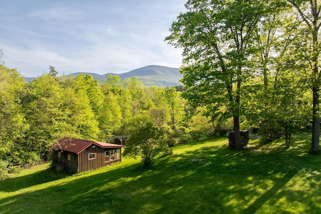 285 County Road 20, Cairo, NY 12413 - view of mountain background featuring a forest