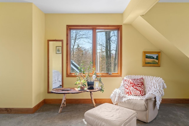 285 County Road 20, Cairo, NY 12413 - living area featuring carpet flooring and baseboards