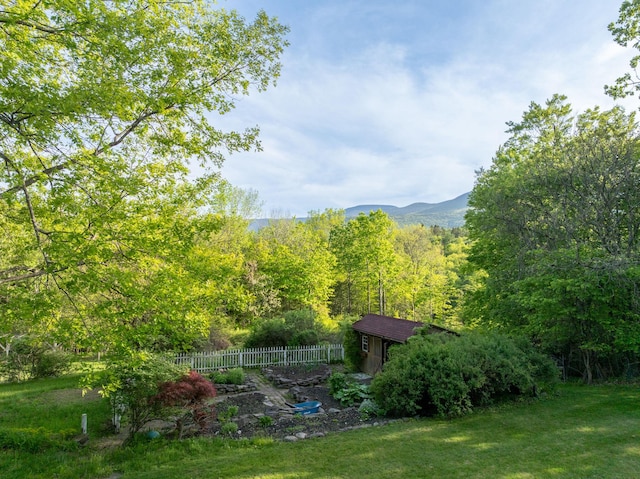 285 County Road 20, Cairo, NY 12413 - view of yard featuring a forest view
