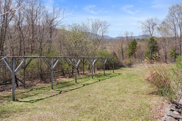 285 County Road 20, Cairo, NY 12413 - view of grassy yard with a mountain view
