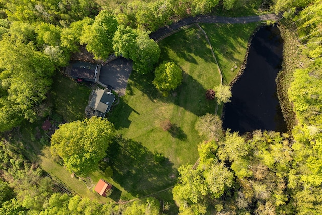 285 County Road 20, Cairo, NY 12413 - bird's eye view of a large body of water