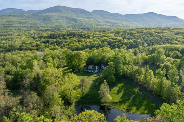 285 County Road 20, Cairo, NY 12413 - bird's eye view of a water and mountain view and a forest