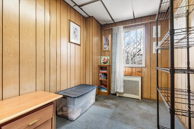 712 E 40th St, Brooklyn, NY 11210 - miscellaneous room featuring carpet floors and wooden walls