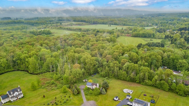 22 Rosio Ln, Modena, NY 12548 - drone / aerial view of a forest