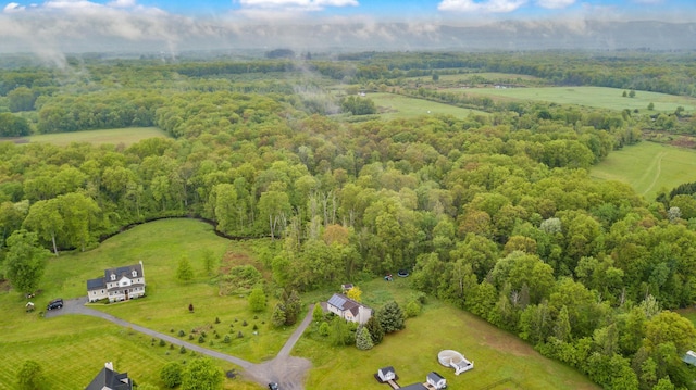 22 Rosio Ln, Modena, NY 12548 - overview of rural landscape featuring a forest