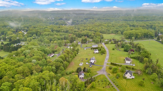 22 Rosio Ln, Modena, NY 12548 - drone / aerial view of a forest