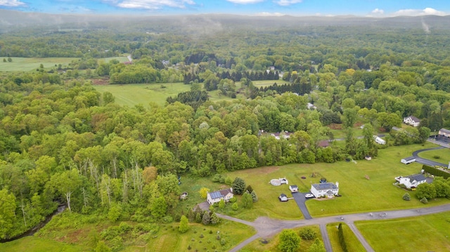 22 Rosio Ln, Modena, NY 12548 - bird's eye view of a heavily wooded area