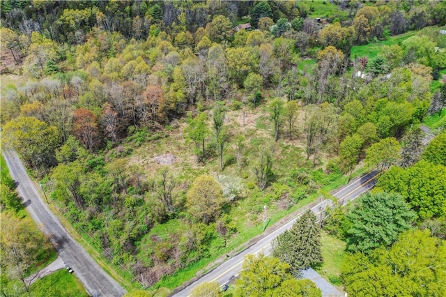 365 Springtown Rd, New Paltz, NY 12561 - photo 1