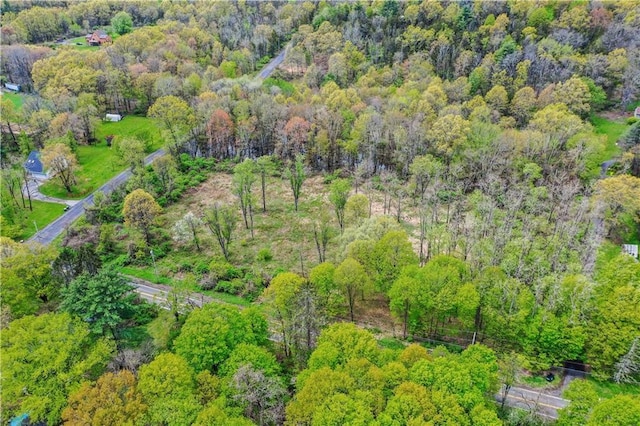 365 Springtown Rd, New Paltz, NY 12561 - photo 4