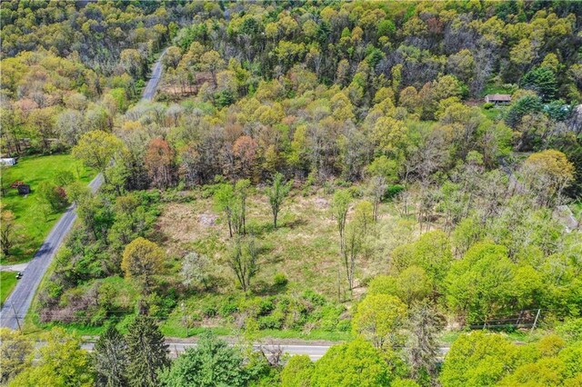 365 Springtown Rd, New Paltz, NY 12561 - photo 6