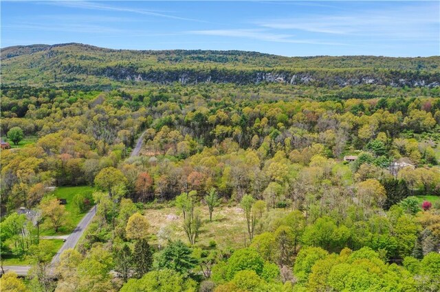 365 Springtown Rd, New Paltz, NY 12561 - photo 7