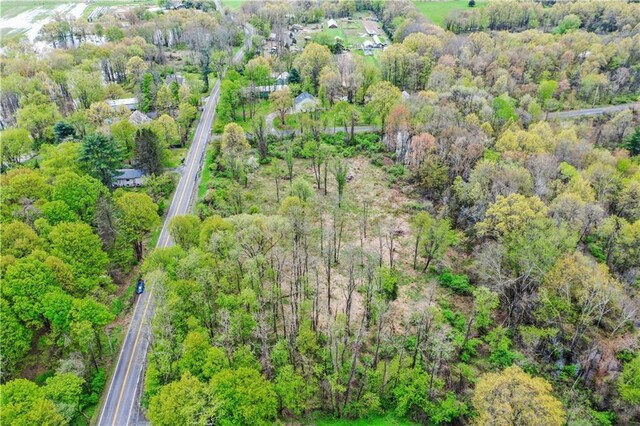 365 Springtown Rd, New Paltz, NY 12561 - photo 9