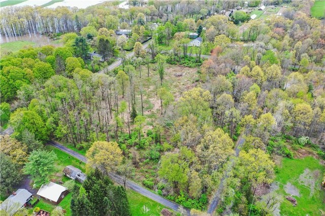 365 Springtown Rd, New Paltz, NY 12561 - photo 10