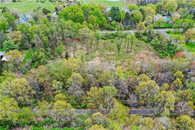365 Springtown Rd, New Paltz, NY 12561 - photo 11