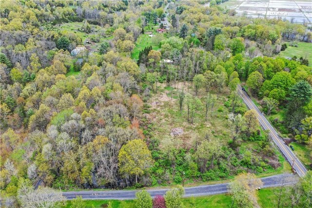 365 Springtown Rd, New Paltz, NY 12561 - photo 14