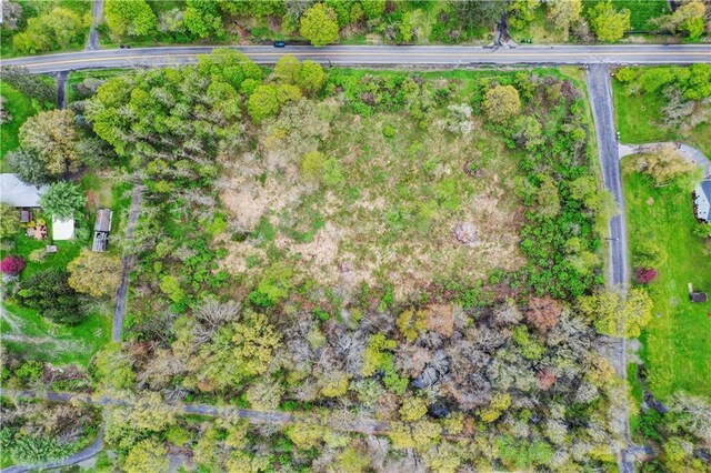 365 Springtown Rd, New Paltz, NY 12561 - photo 16