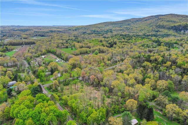 365 Springtown Rd, New Paltz, NY 12561 - photo 18