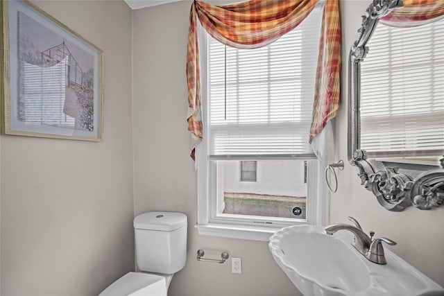 26 Crane Ave, White Plains, NY 10603 - photo 15